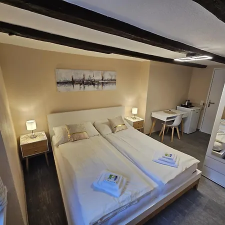 Surselva Hotel *