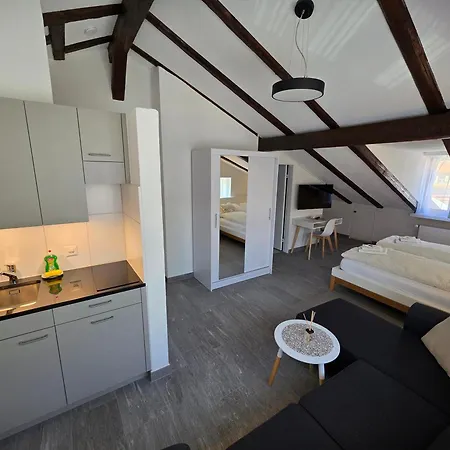 Surselva Hotel *