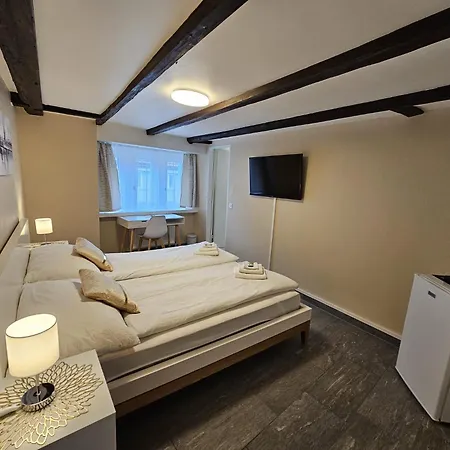 Surselva ホテル クール