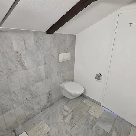 Surselva فندق تشر